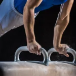 Travels on Pommel Horse