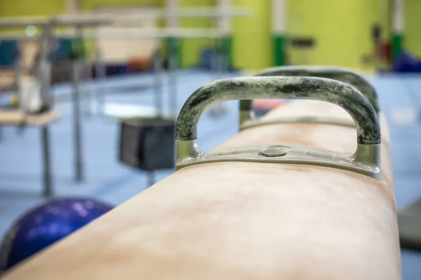 pommel horse progress